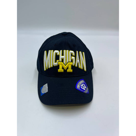 90s University of Michigan "Top of the World" snapback Hat Cap