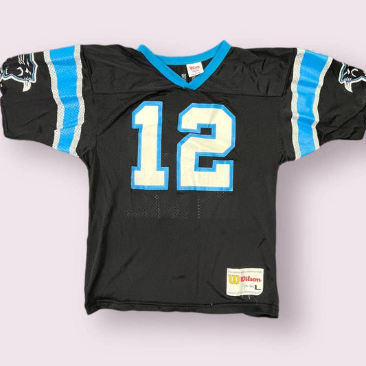 Y2K "Wilson" Carolina Panthers Youth Jersey Kerry Collins #12 Sz L