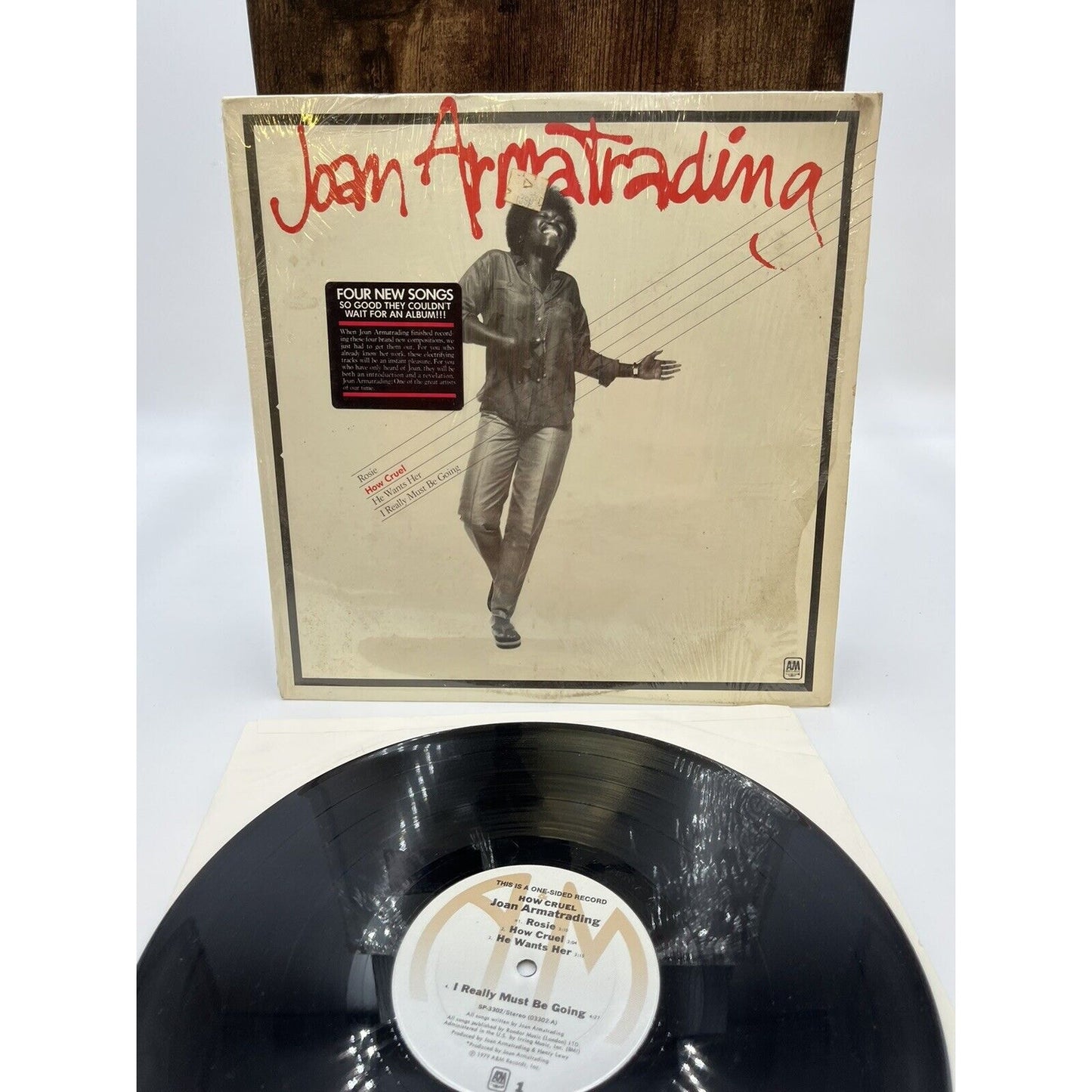 Joan Armatrading – How Cruel - A&M Records – SP-3302 - 1979 - Single-Sided Vinyl