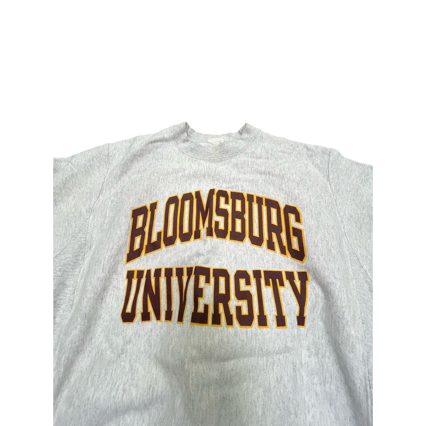 Y2K Bloomsburg University Champion Sz medium reverse weave hoodie