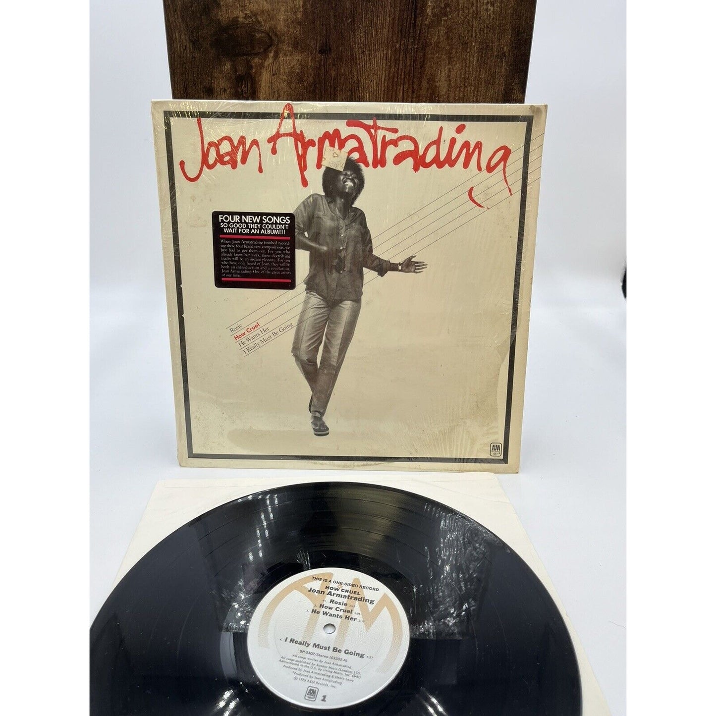 Joan Armatrading – How Cruel - A&M Records – SP-3302 - 1979 - Single-Sided Vinyl