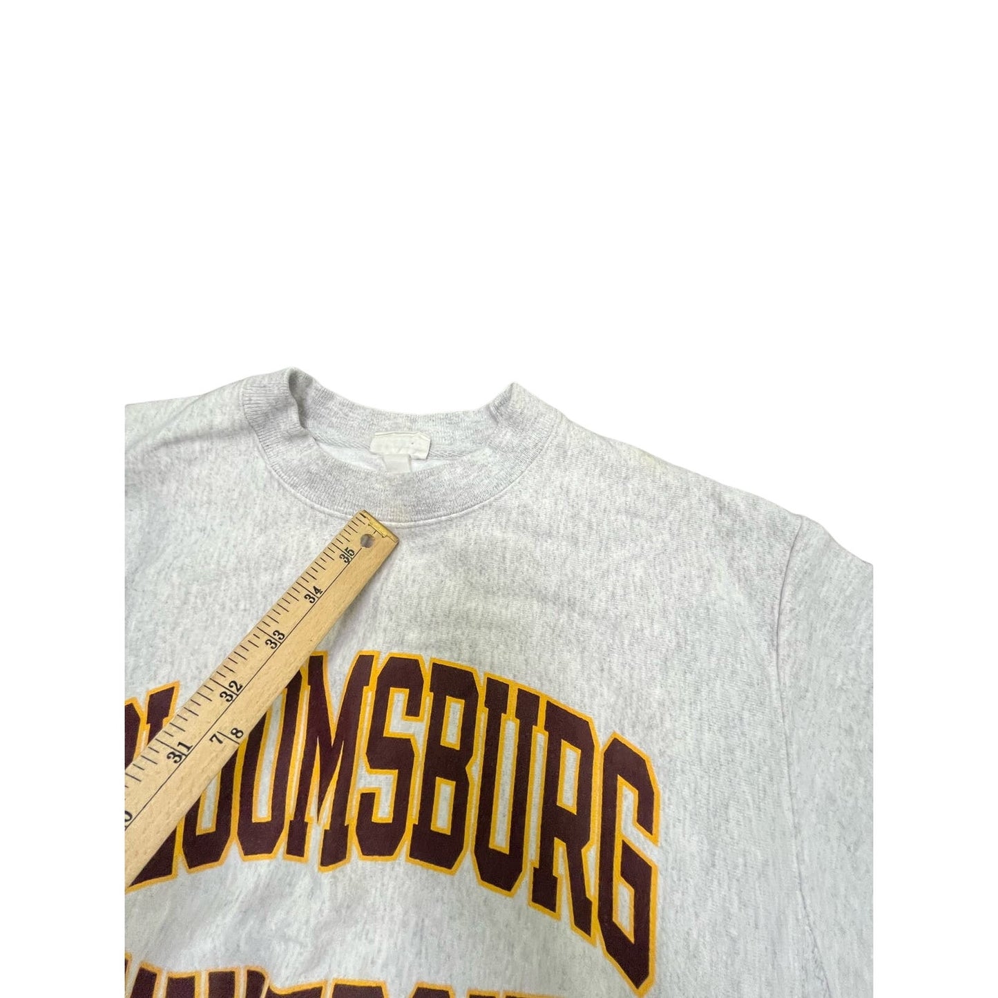 Y2K Bloomsburg University Champion Sz medium reverse weave hoodie